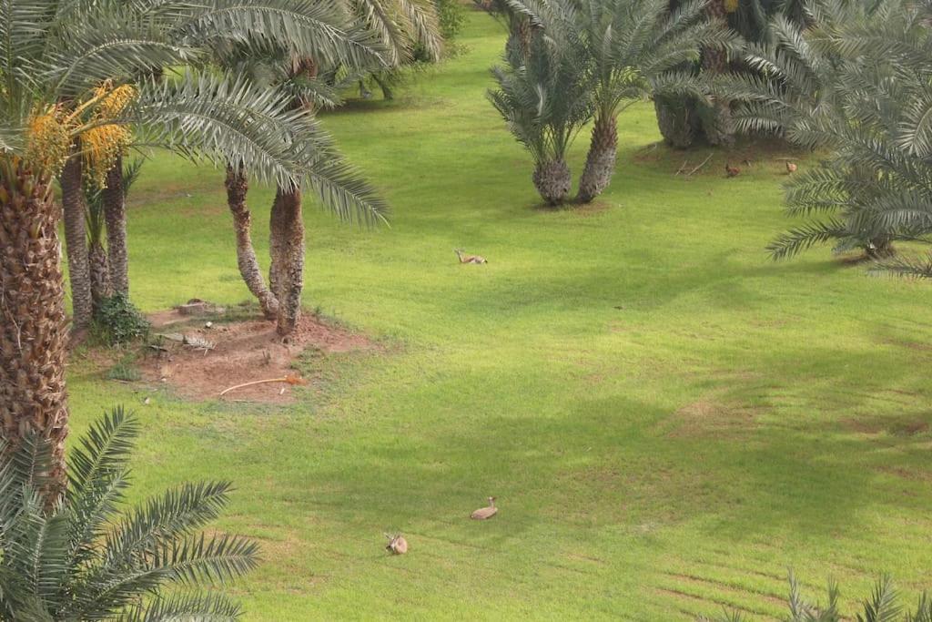 Riad Nolya Luxury Marrakech - Totalement Renove - Capacite Jusqu A 10 Lits Spacieux مراكش المظهر الخارجي الصورة