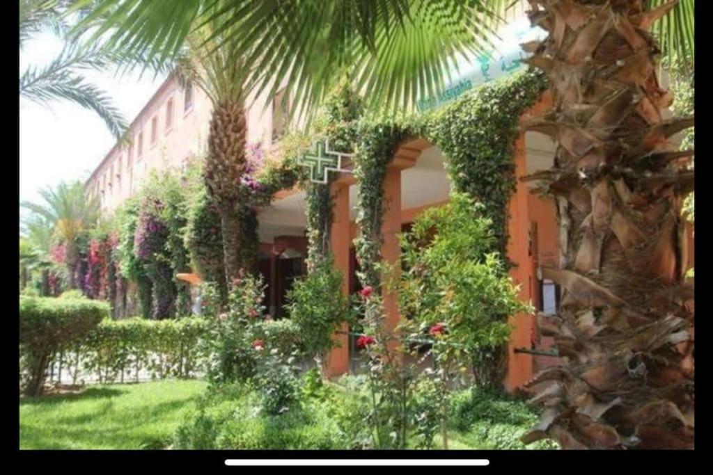 Riad Nolya Luxury Marrakech - Totalement Renove - Capacite Jusqu A 10 Lits Spacieux مراكش المظهر الخارجي الصورة